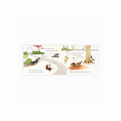 Jellycat Otto Le Petit Chien Saucisse Livre Books UK | 35781JNMZ